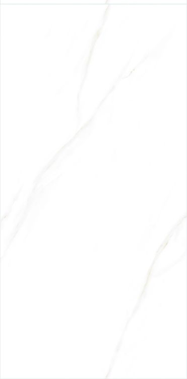 Time Cielo Matte 24 x 48